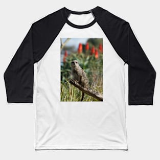 Meerkat Branch Office Baseball T-Shirt